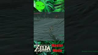 Zelda BOTW  Can I borrow your head funnyshorts zelda [upl. by Animrelliug]