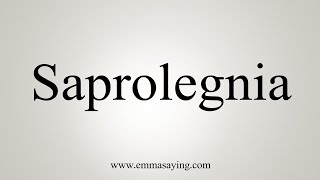 How To Say Saprolegnia [upl. by Ahseenal567]