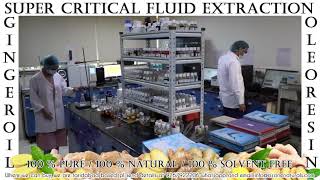 Super Critical Fluid Extraction Ginger Oil Oleoresin amp Essential Oil SCFE [upl. by Nnazil]