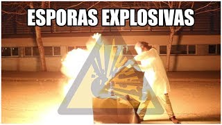 ¡ESPORAS EXPLOSIVAS  El licopodio [upl. by Saul926]