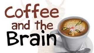 How Coffee Affects Your Brain [upl. by Hickie]