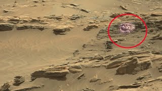 Perseverance Rover Captured a New Video Footage of Mars  New Mars Video [upl. by Karilla]