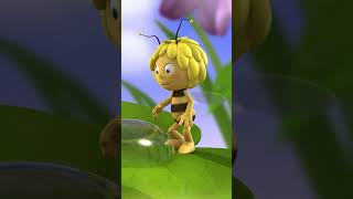 A Day in the Life of Maya the Bee 🐝🌼 DayInTheLife Routine [upl. by Crowns]