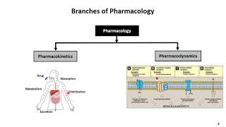 Chapter 01 Introduction and Pharmacokinetics Lecture 1 [upl. by Schouten]