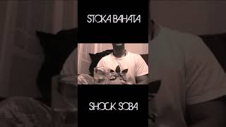 Stoka Bahata ShSB FREESTYLE  Pusten Iz Kaveza [upl. by Yelsgnik]