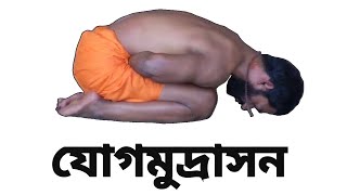 Yoga Mudrasana যোগমুদ্রা How To Do Yoga Mudrasana Properly  Bengali Yoga [upl. by Ical565]