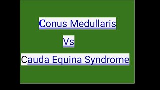 Conus Medullaris Vs cauda Equina Syndrome [upl. by Spiegleman587]