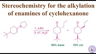 Stereochemistry for the alkylation of enamines of cyclohexanone [upl. by Ellener]