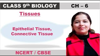 Epithelial Tissue Connective Tissue [upl. by Bowie]