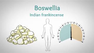 Boswelia for Joint and Respiratory Health [upl. by Pazice]