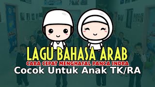 LAGU BAHASA ARAB quotالحواس الخمس PANCA INDRAquot TERJEMAH INDONESIA COCOK UNTUK ANAK TKRA [upl. by Htebirol]