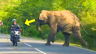 They Saw An Elephant Mom Crying For Help And Decided To Follow Her What Happened Next Is Shocking [upl. by Christa73]