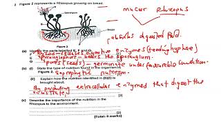 Saprophytic Nutrition  exam question full topic explained [upl. by Blanka]