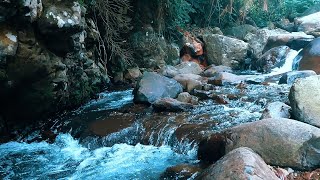 Mountain stream flowing Forest river stream Flowing water Nature Sounds white noise for sleeping [upl. by Floss566]