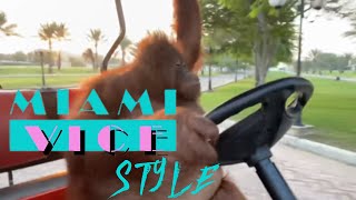 Orangutan Rambo Drive Golf Car As Miami Vice Style [upl. by Eiduam717]