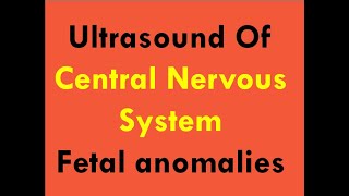 Ultrasound of CNS foetal anomalies [upl. by Ebbarta]