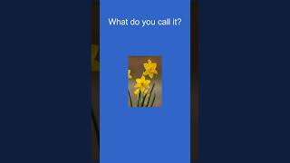 Can you name these Flowers learnenglish dailyenglish english vocabulary [upl. by Garrek]