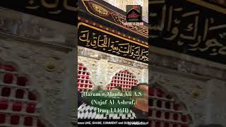 RauzaeMaulaeKayenaat Ameerul Momineen Imam Ali AS  Najaf AlAshraf Iraq1446Himamalishorts [upl. by Ahker]