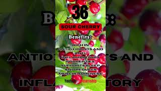 Health Benefits of eating sour cherry every day facts and advantages of sour cherry diet [upl. by Ygief874]