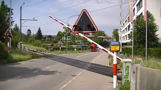 Spoorwegovergang Bern CH  Railroad crossing  Bahnübergang [upl. by Rog]