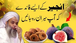 Anjeer khane ke Fayde Fruit of the Quran  Health Benefits of Figs Shaykh Hafiz Ibrahim Naqshbandi [upl. by Anerhs12]