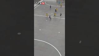 Top Assist von Daniel Janitsch für Raphael Halper LAZ Oberwart LAZ Futsal Konvent youthfootball [upl. by Nuri]