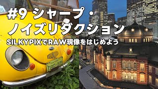 SILKYPIXでRAW現像をはじめよう 9 シャープ・ノイズリダクション [upl. by Hallerson985]