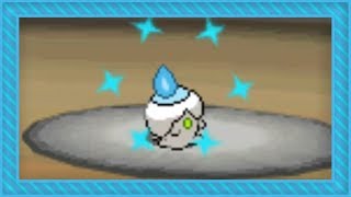 LIVE Shiny Litwick after 12611 REs in White DTQ 5 [upl. by Aenahs]