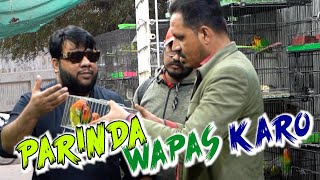 Parinda Wapas Karo  By Nadir Ali amp P4 Pakao Team  P4 Pakao  2024 [upl. by Topliffe]