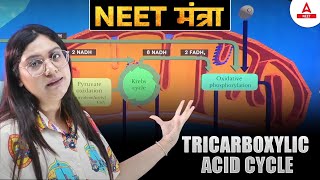 Tricarboxylic Acid Cycle 3D Animation  NEET Mantra  Garima Goel [upl. by Hudgens]