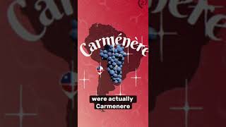 Carmenere explained Chile carmenere wine sommelier followmerafael [upl. by Sjoberg]