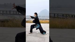 kungfu traditionaltaichi taichiclass dance taichischool [upl. by Hasty732]