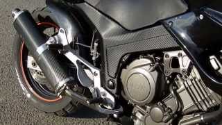 Yamaha TDM 850 3VD Leo Vince exhaust [upl. by Halsey265]