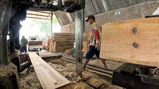 the finishing process of production of full plate wood boards [upl. by Nalaf627]