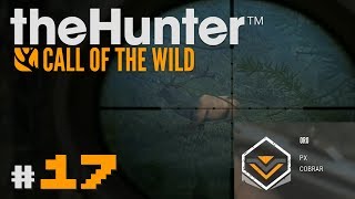 🦌theHunter Call of the Wild 17  WAPITÍ RANGO ORO 3  Gameplay en Español [upl. by Caren572]