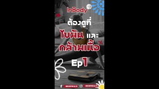 อยากหุ่นดีต้อง โฟกัส 2 ค่านี้ มวลไขมันและมวลกล้ามเนื้อ l InBodyhealth [upl. by Ahsuat681]