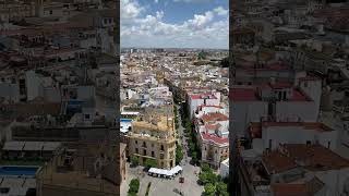 The View of Seville the Cathedral 🇪🇸 travel shorts europe views [upl. by Idnil218]