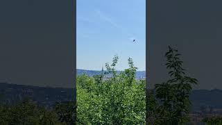 First observation deck on the climb to Schlossberg Graz respect travel europe shorts [upl. by Ikcim118]