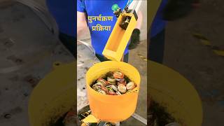 पुनर्चक्रण प्रक्रिया recycling process craft ideas facts recycle craftideas [upl. by Ferrigno691]