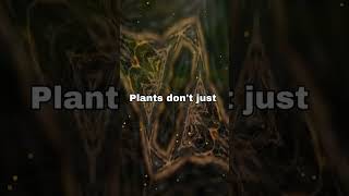 Botany for Beginners The Magic of Plant Life [upl. by Blase333]