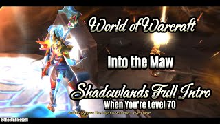 World of Warcraft SHADOWLANDS Into the Maw FULL Opener to Shadowlands at Level 70 Alliance POV [upl. by Ahsitauq888]