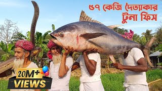 123 Pounds Giant Tuna Fish Cutting amp Cooking  Sea Fish Curry Recipe Of Grandpa For Special people [upl. by Grantham]