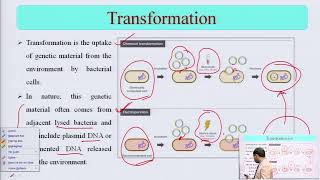 Microbial Genetics Transformation Transduction Conjugation Plasmids and Transposons [upl. by Haliehs724]