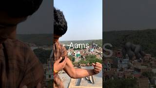 Aams 🦍 ytshorts ytviral trending youtubeshorts manishgoudfitness06 [upl. by Avehstab]