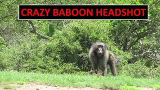 Crazy Baboon Hunting Headshot [upl. by Rehpotsrihc162]