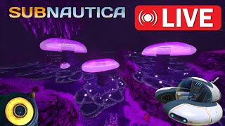 On continue la survie en Live  Subnautica [upl. by Lavoie683]