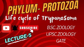 Life Cycle of Trypanosoma  Sleeping Sickness  Zoology  Parasitology  Notes in Description [upl. by Adnirolc]