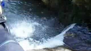 Canyoning in Austria [upl. by Court]