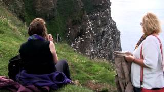 Gannet colony at Troup Head Scotland [upl. by Iatnwahs]