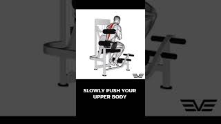 Seated Back Extension seatedbackextension backextension backexercise backexercises [upl. by Madaih]